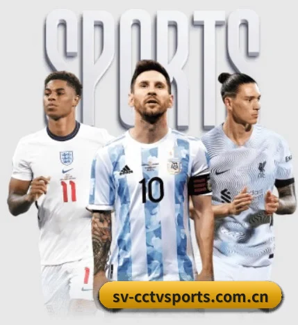 cctv体育围绕看球场景设计的核心服务